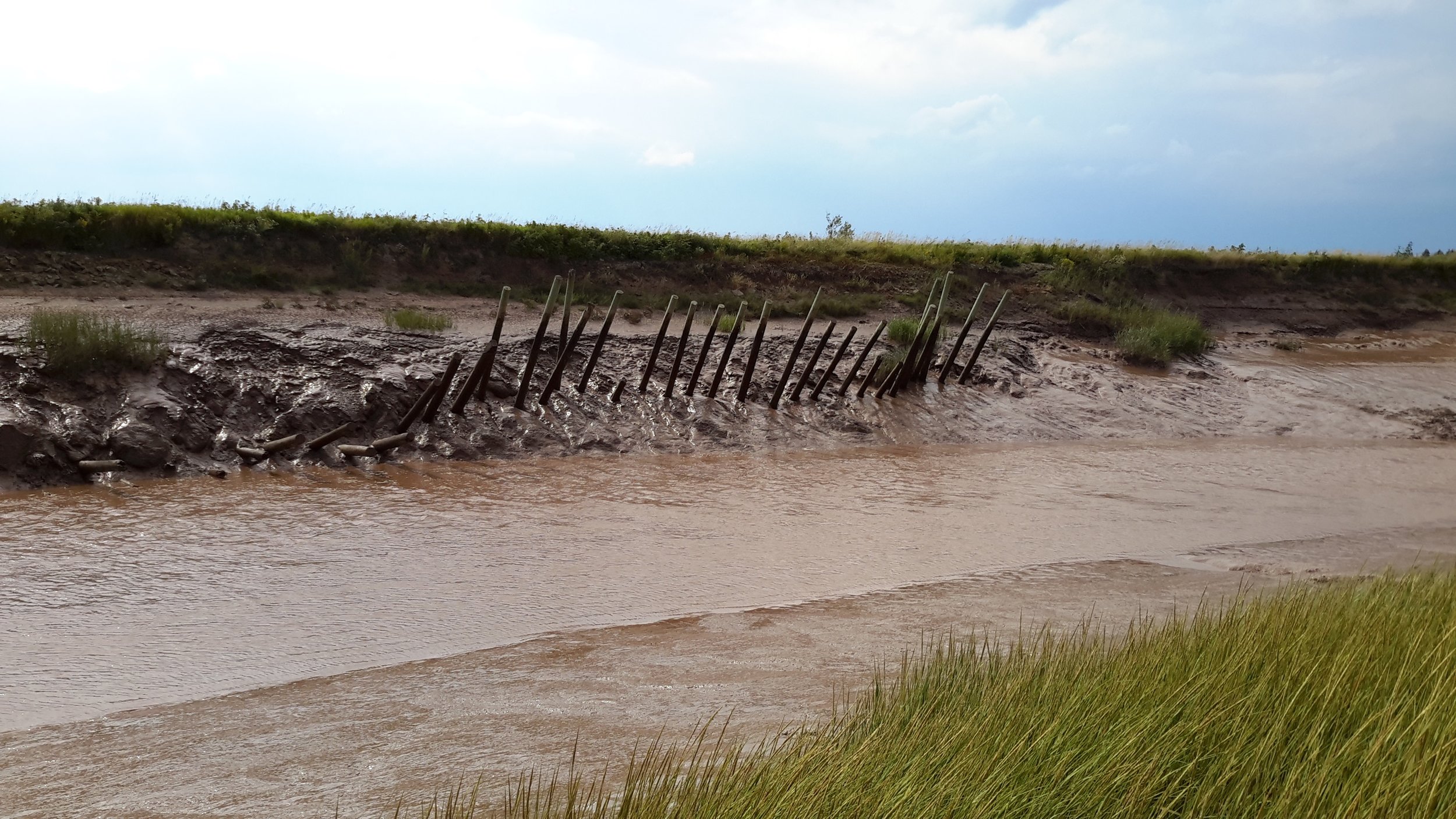 Sinking Dyke - Near Converse, NS.jpg
