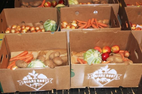Award-winning Square Roots food bundle program partners with Hellmann’s 