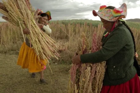 A still from Sembradoras de Vida .