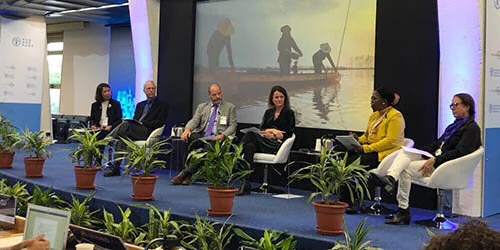 Saint Mary’s researcher contributes to UN fishery and climate meetings