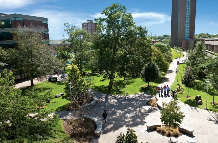 The Saint Mary's University Quad