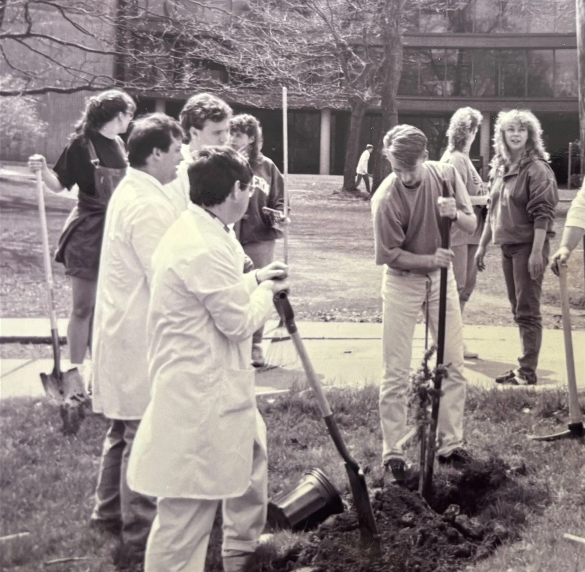 A team of volunteers work to plant trees at SMU