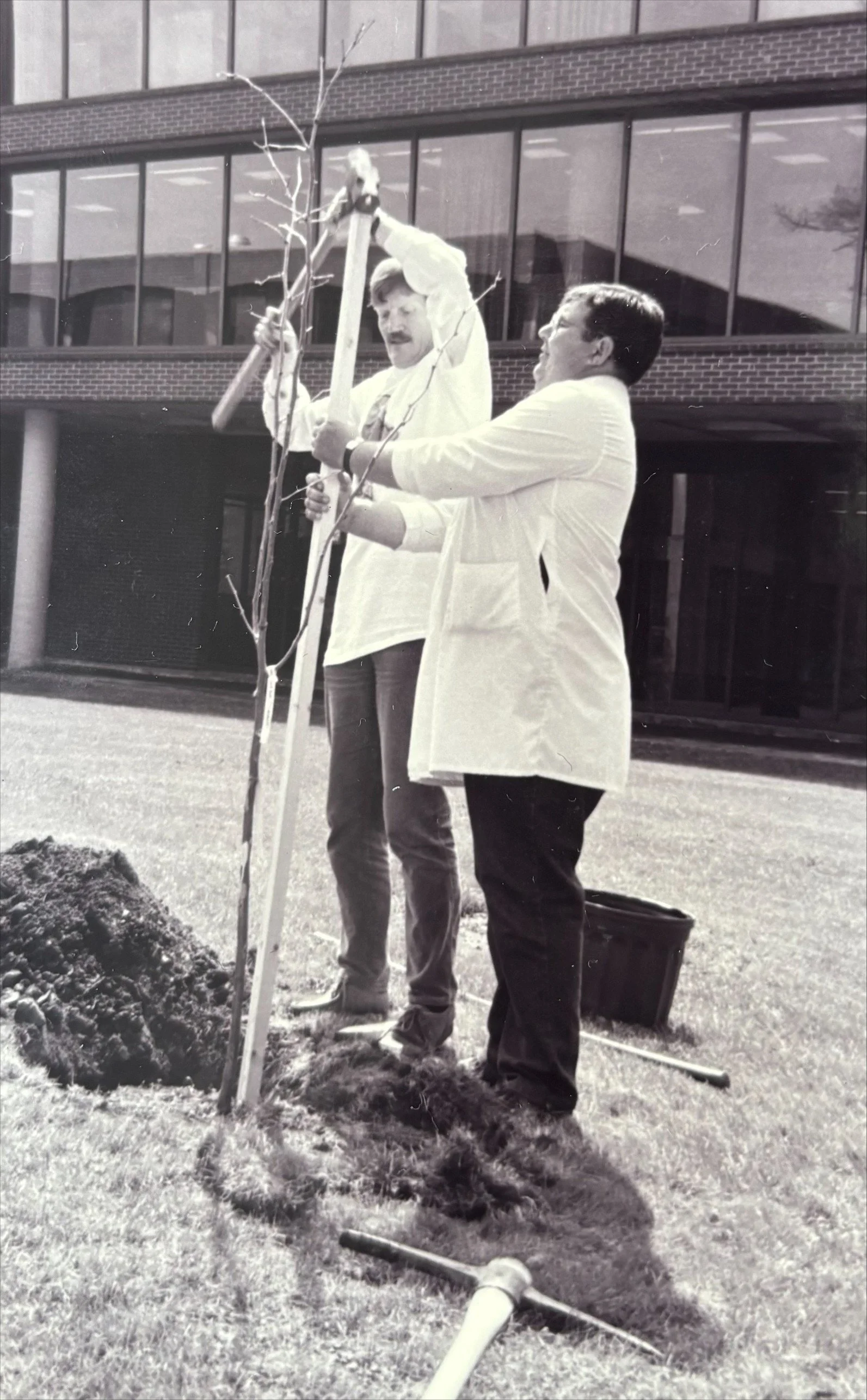 Dr. David Richardson (back) works with a volunteer to plant a tree on campus