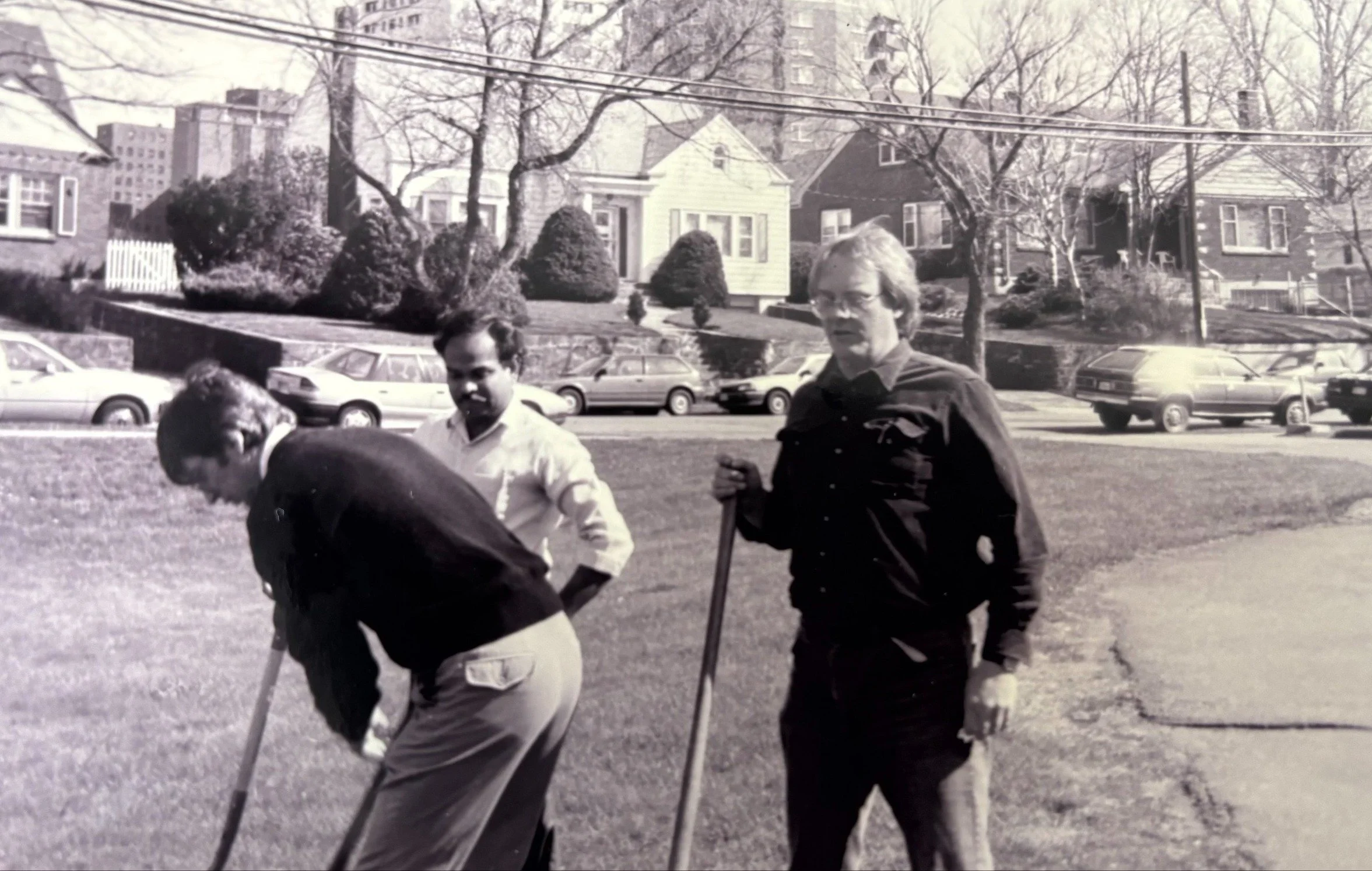 Trees being planted on campus near the Burke Building on Inglis St.