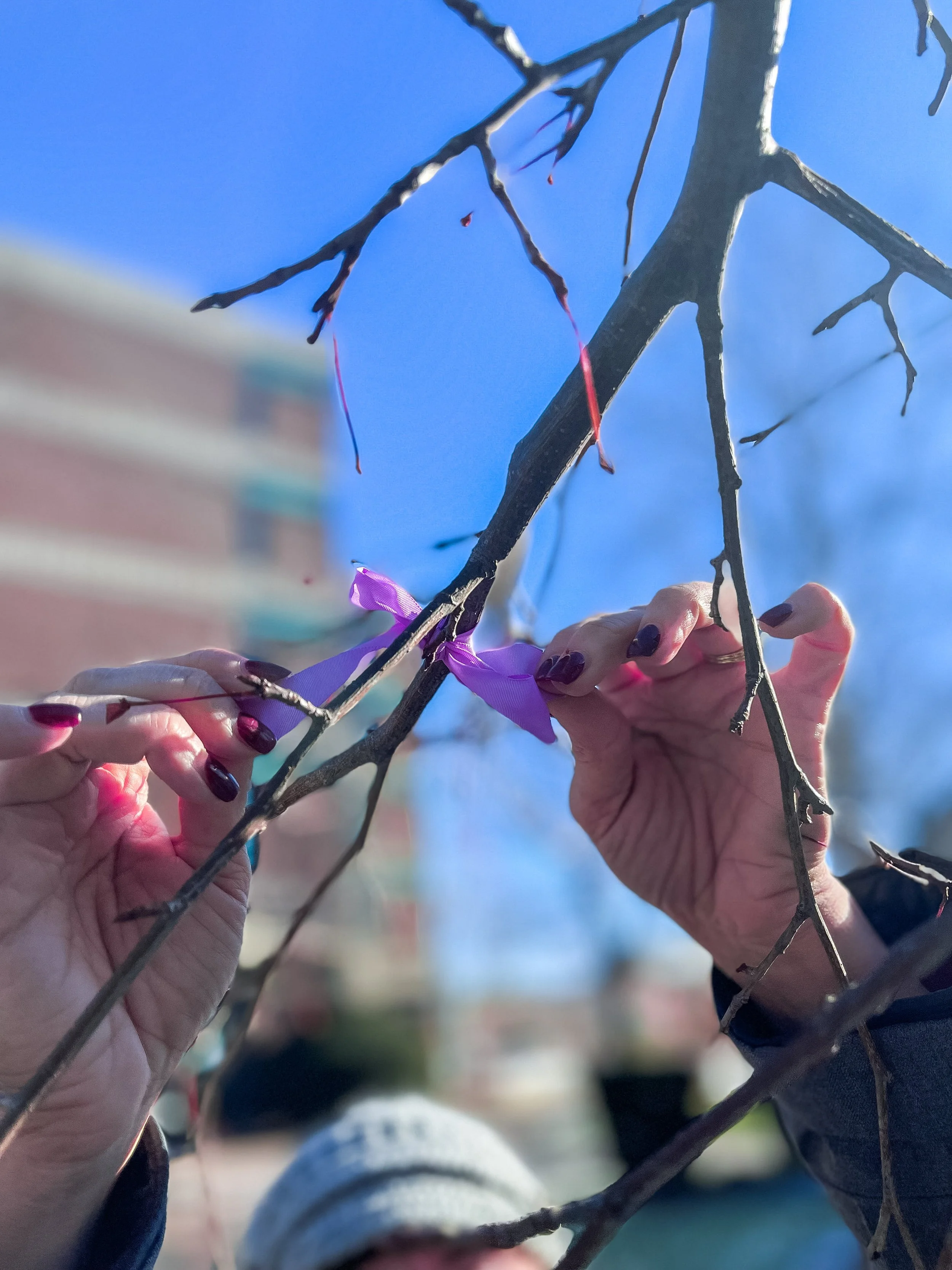  A purple ribbon is tied to a tree in memory of victims and survivors of gender-based violence 