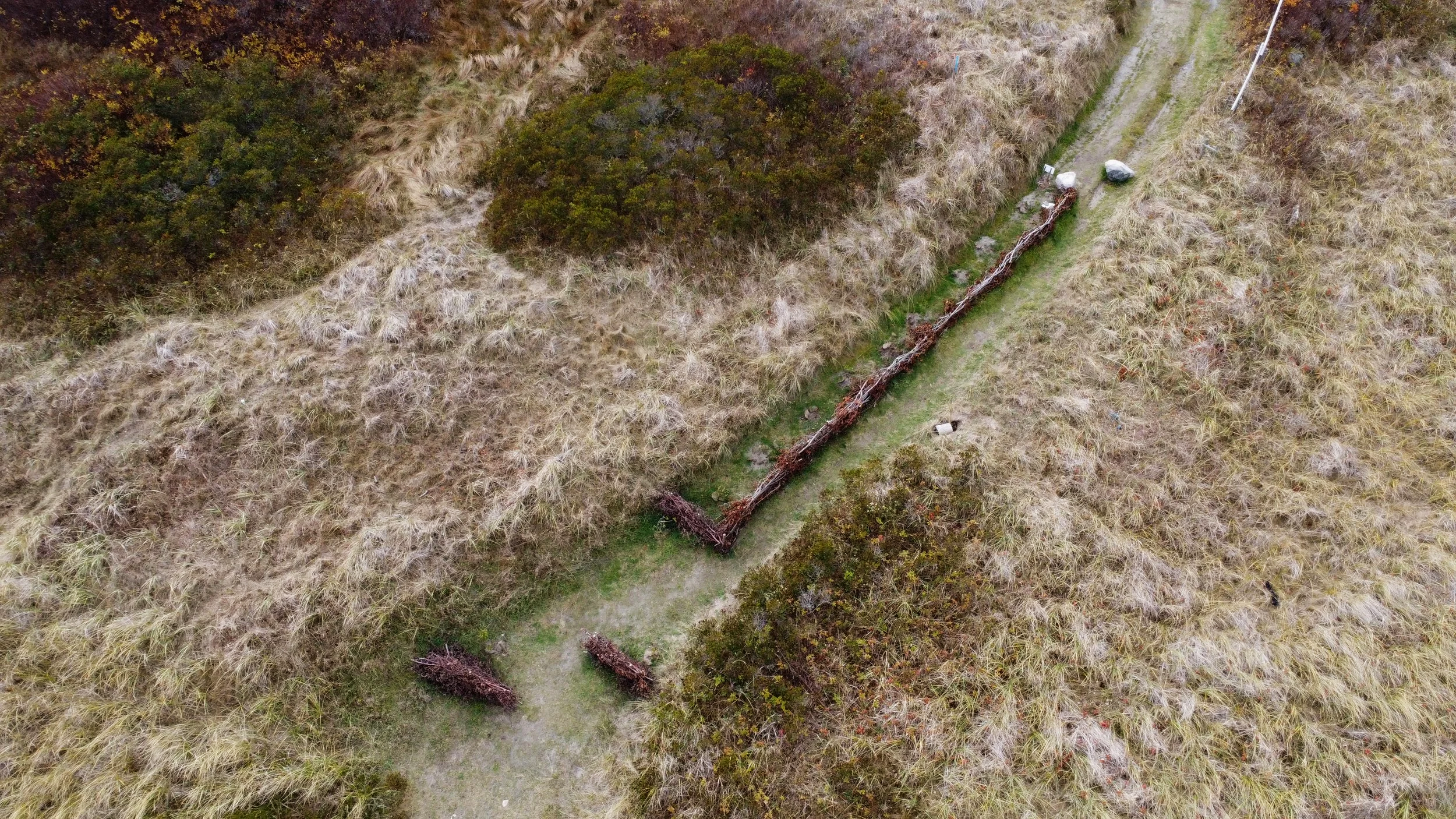  Kingsburg - Nov. 2025 - Wattle Fence.  Credit: Dawn Slack  