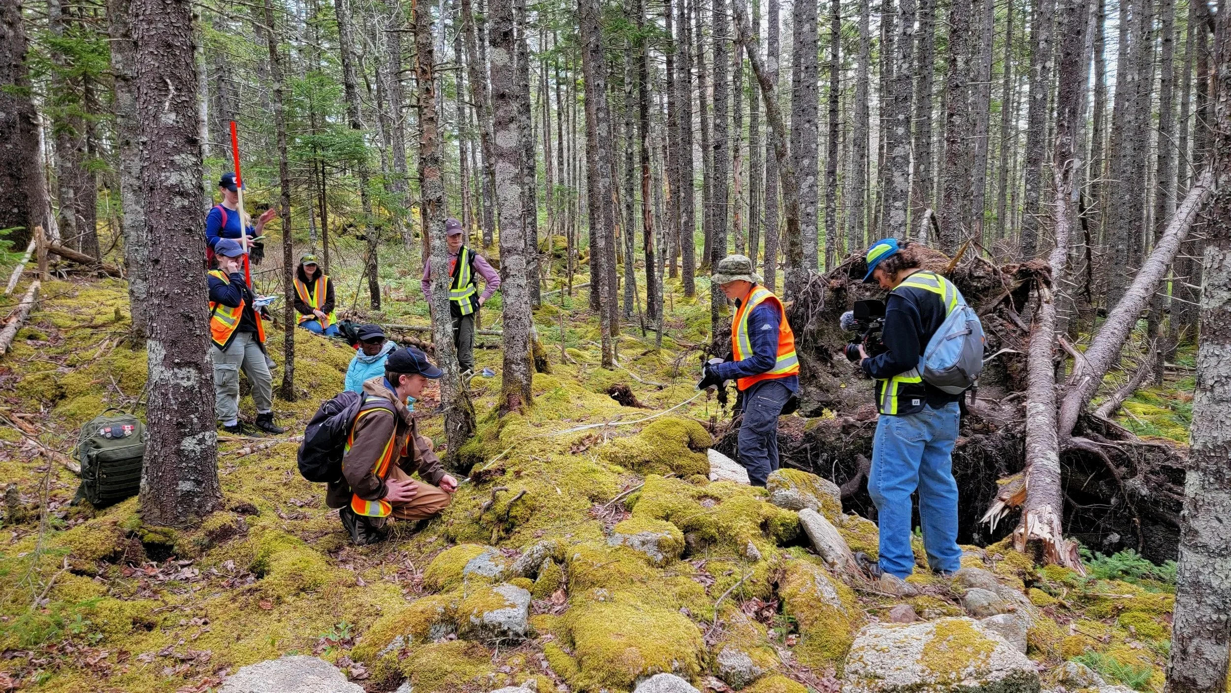 Students in the archeology field school survey grounds in Beechville