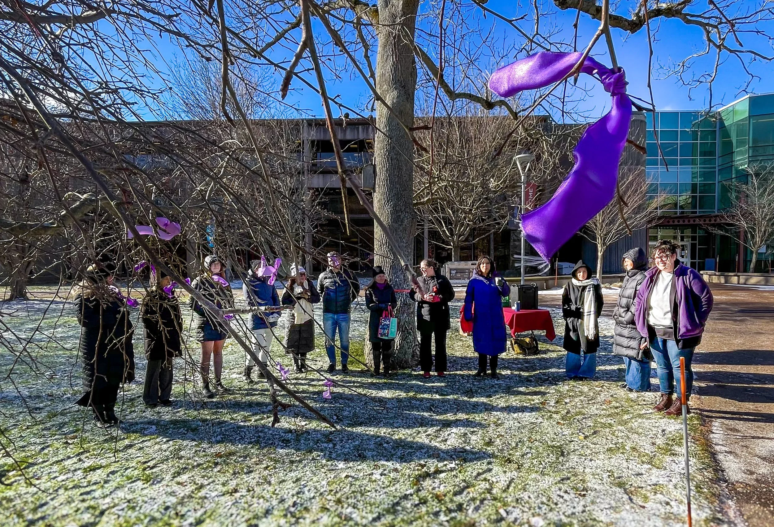 A group of people stand outside while purple ribbons are seen on tree branches