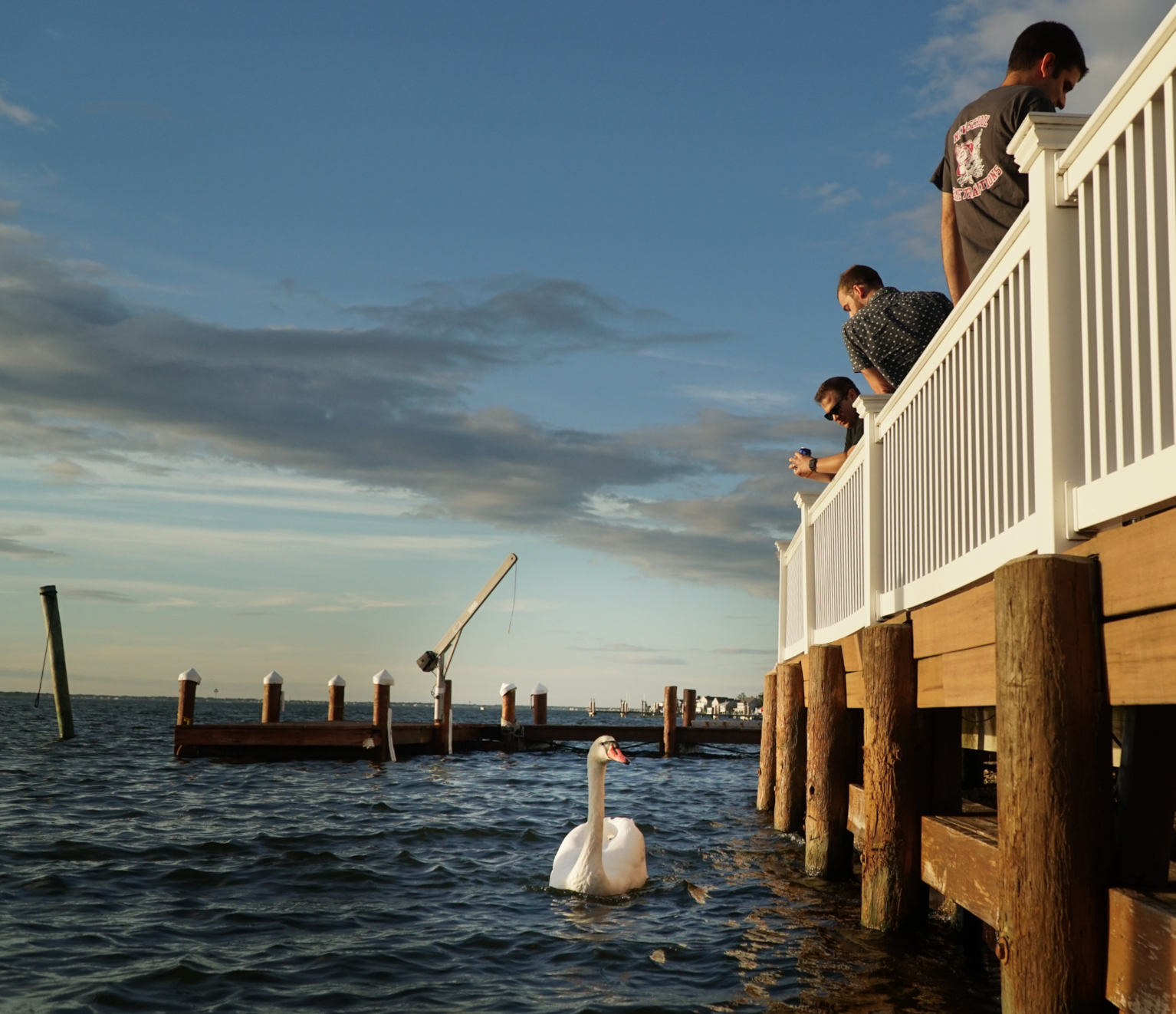Ortley Beach, NJ