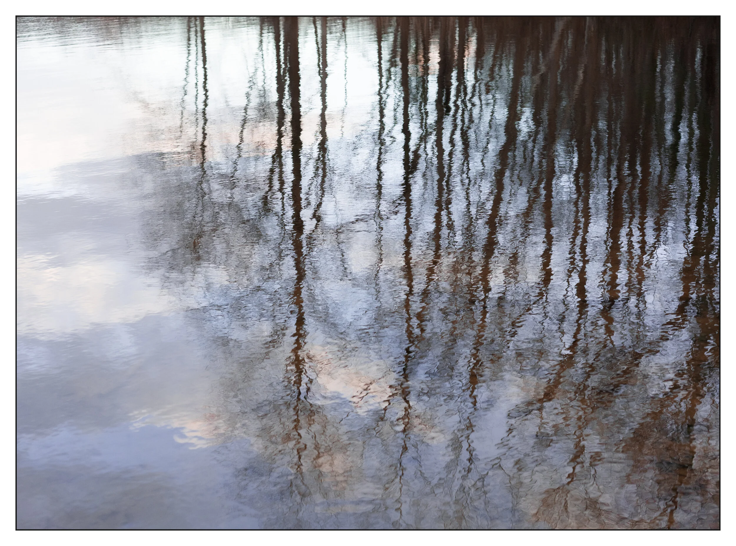 trees reflection.jpg