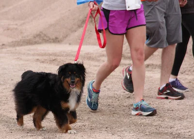 Jackalope 5K