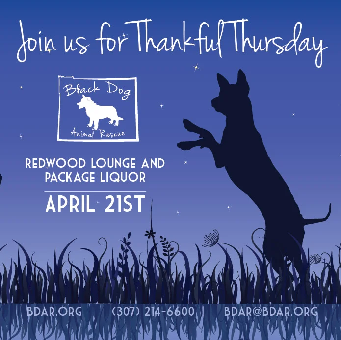 Thankful Thursday