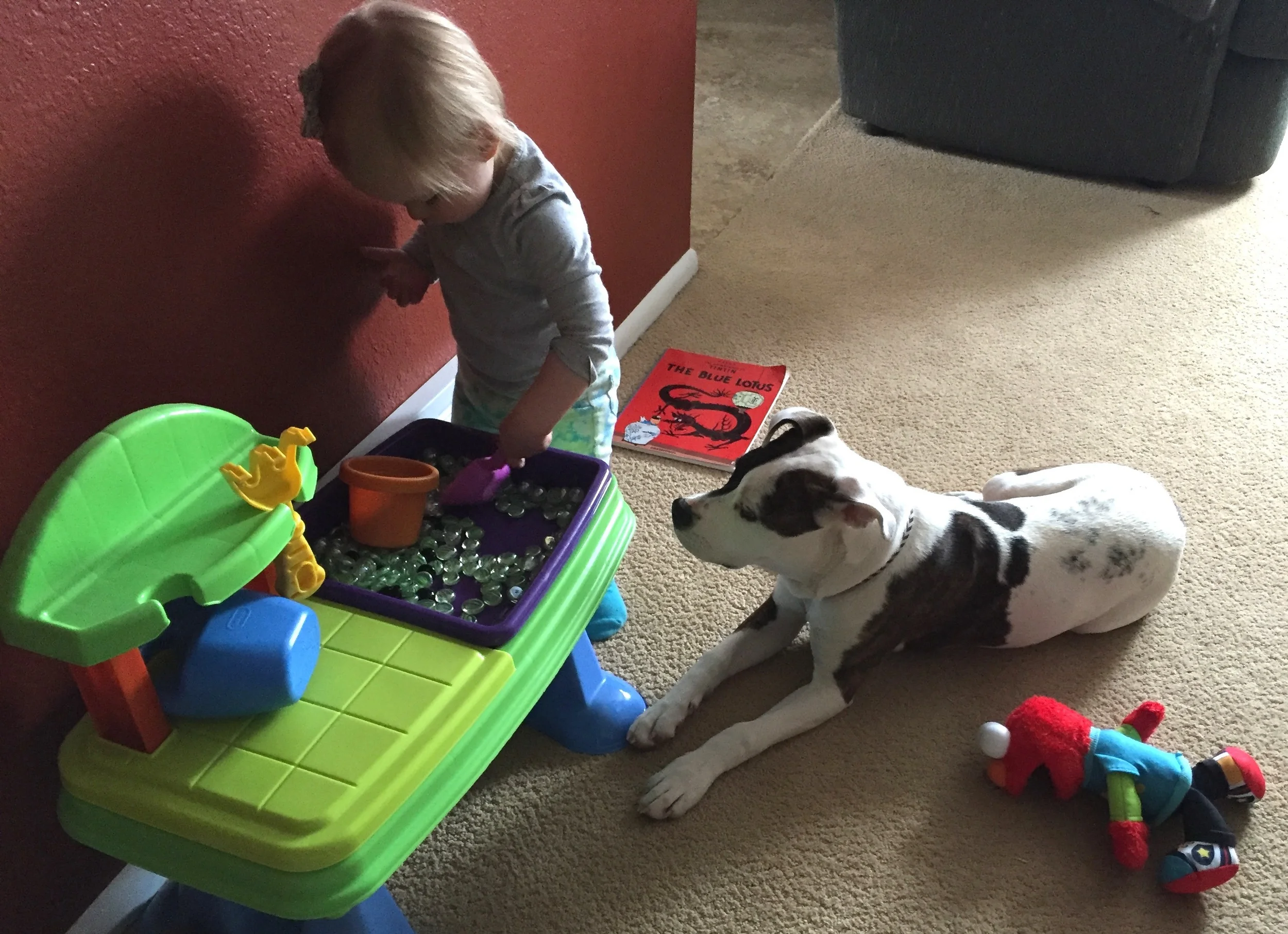 Mia makes a great companion for 2 year old Ivy. Note: For more information about the history and most current knowledge of the dogs commonly called pit bulls, check out "Pit Bull: The Battle over an American Icon" by Brownwen Dickey.