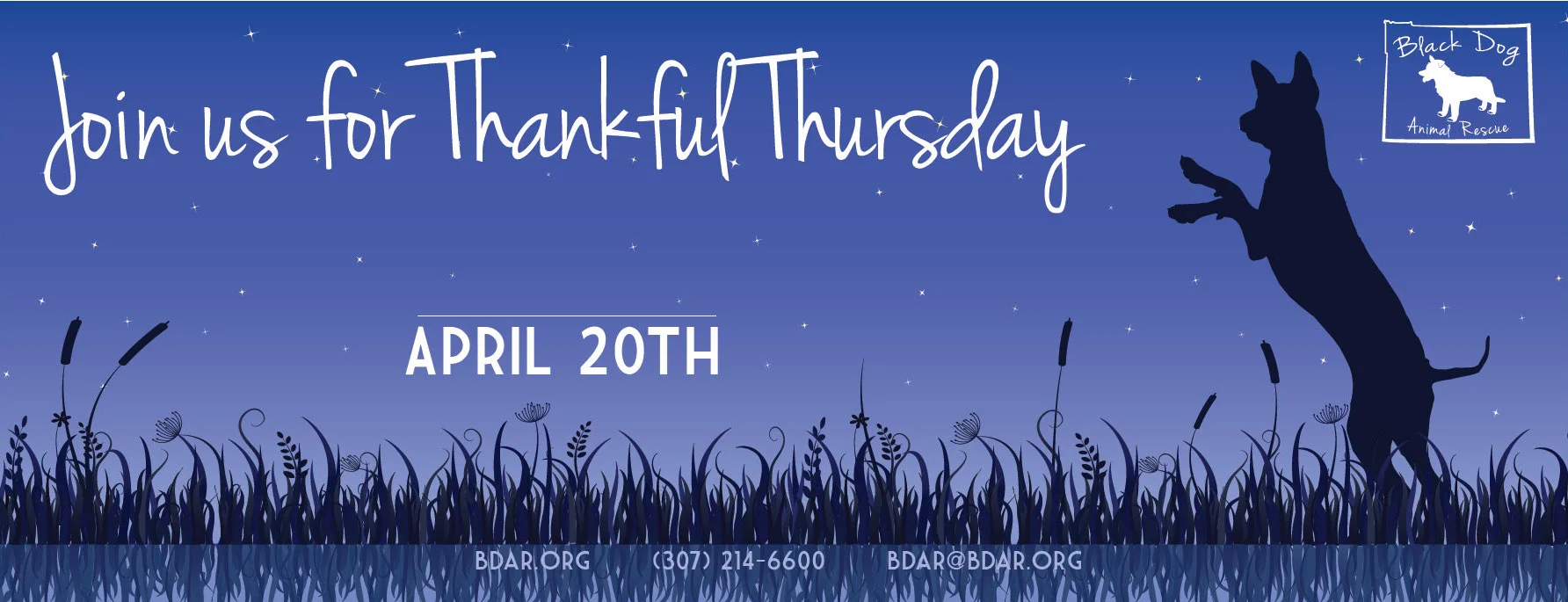 Thankful Thursday