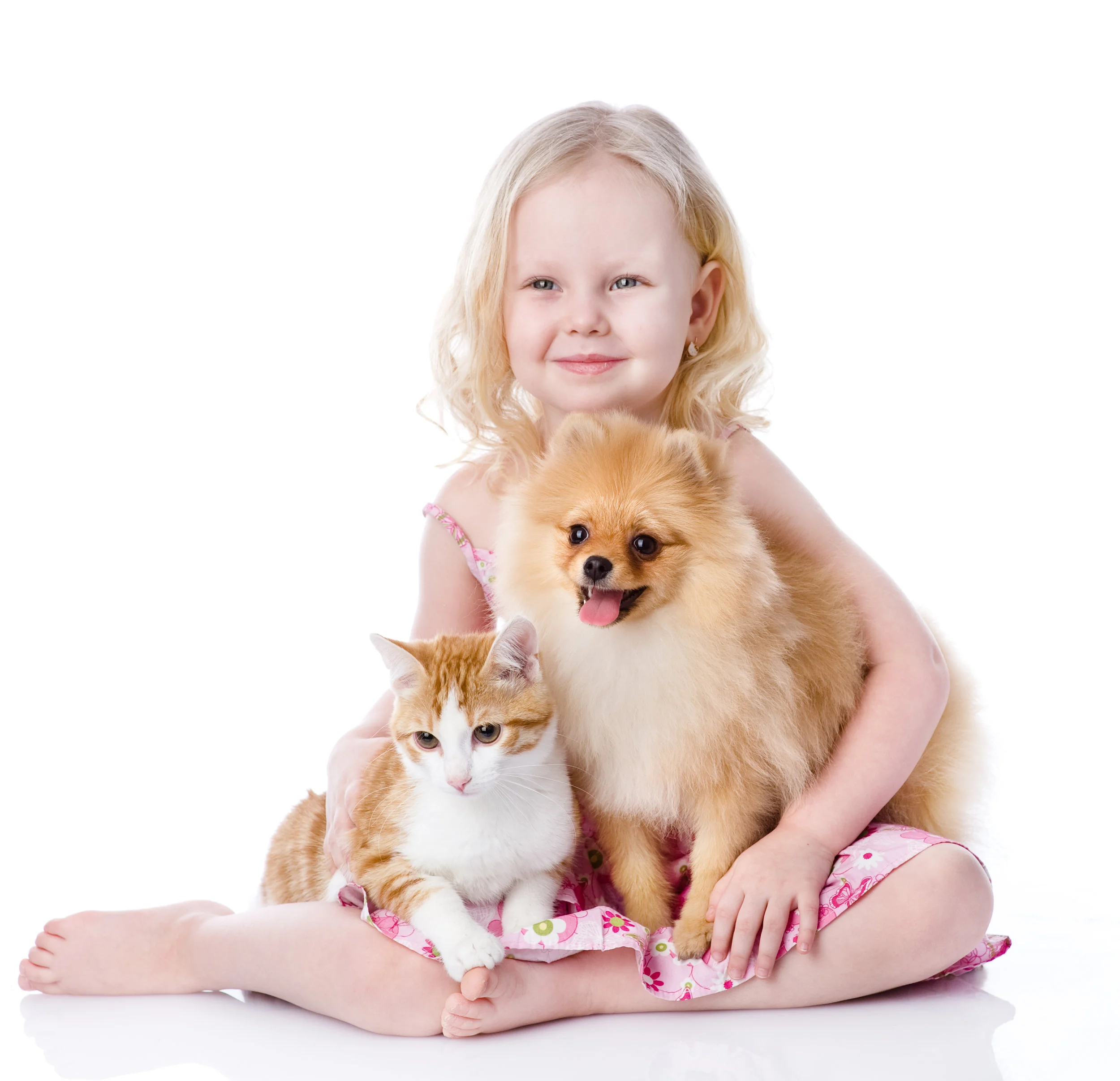 PetCo Adoption Drive