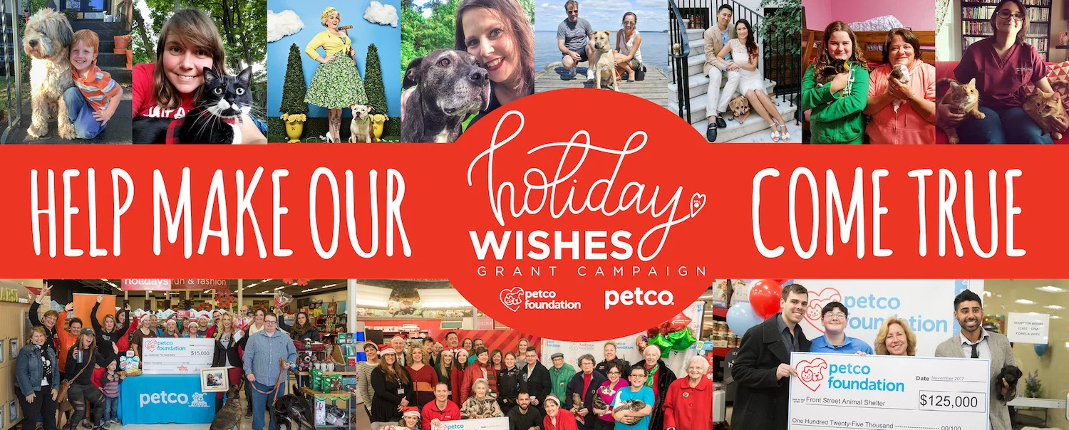 Holiday Wishes.jpg
