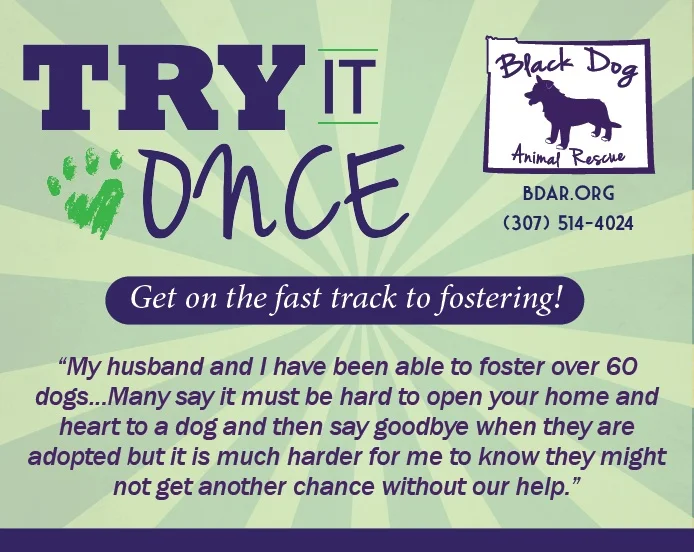 Get on the fast track to fostering! Do you want to see if fostering is right for you before filling out the application and attending orientation? Join the "Try It Once" program!