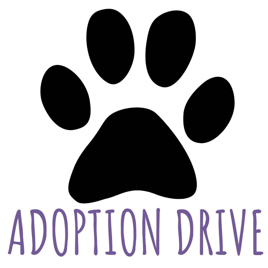 Subaru Adoption Drive