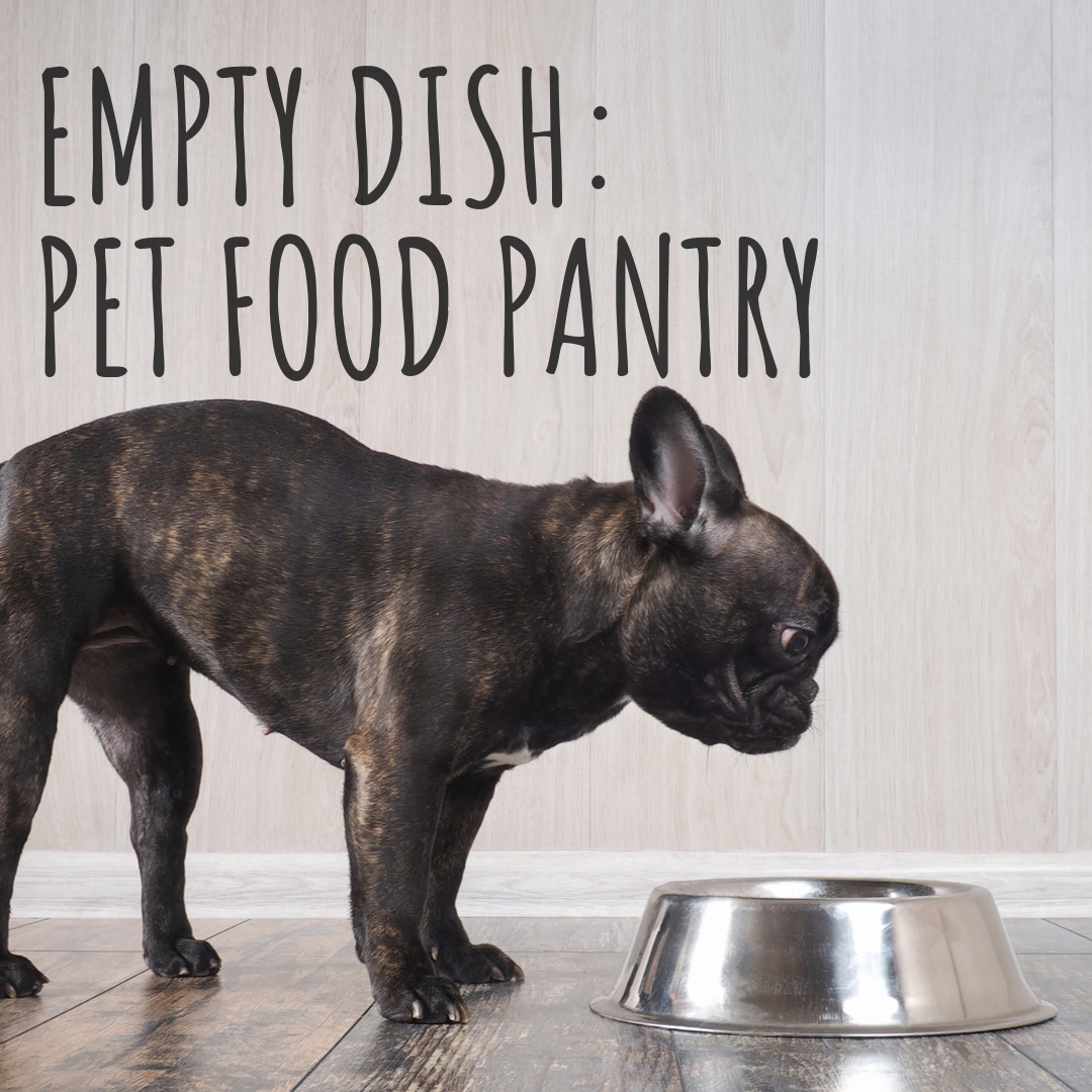 Empty Dish Distribution Day