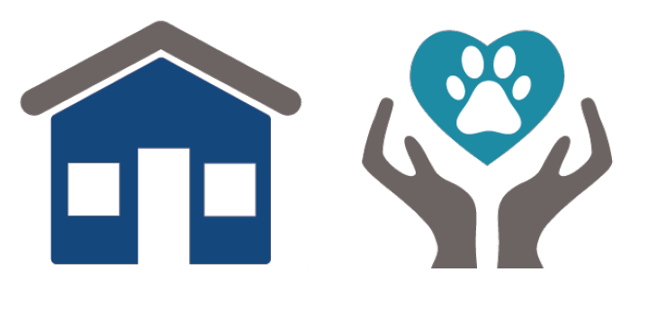 Socially Conscious Shelter — Black Dog Animal Rescue