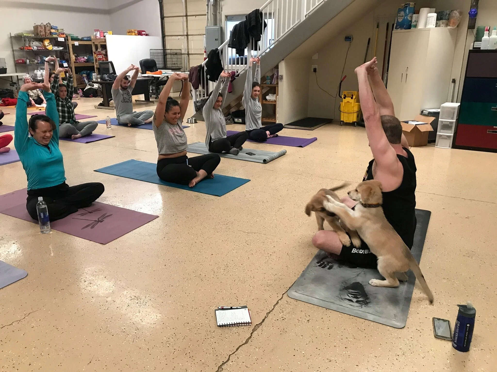 CANCELED: Puppy Yoga!