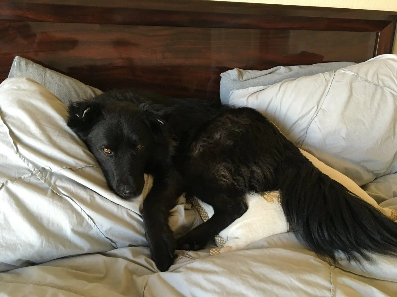 False Starts and Late Blooming