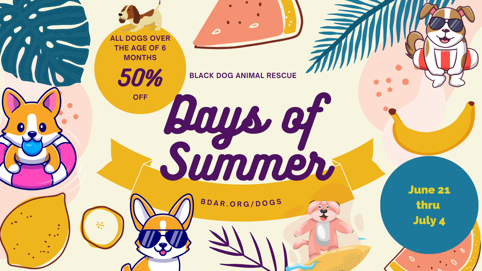 Summer Rescue Days of Summer Adoption Event — Black Dog Animal Rescue