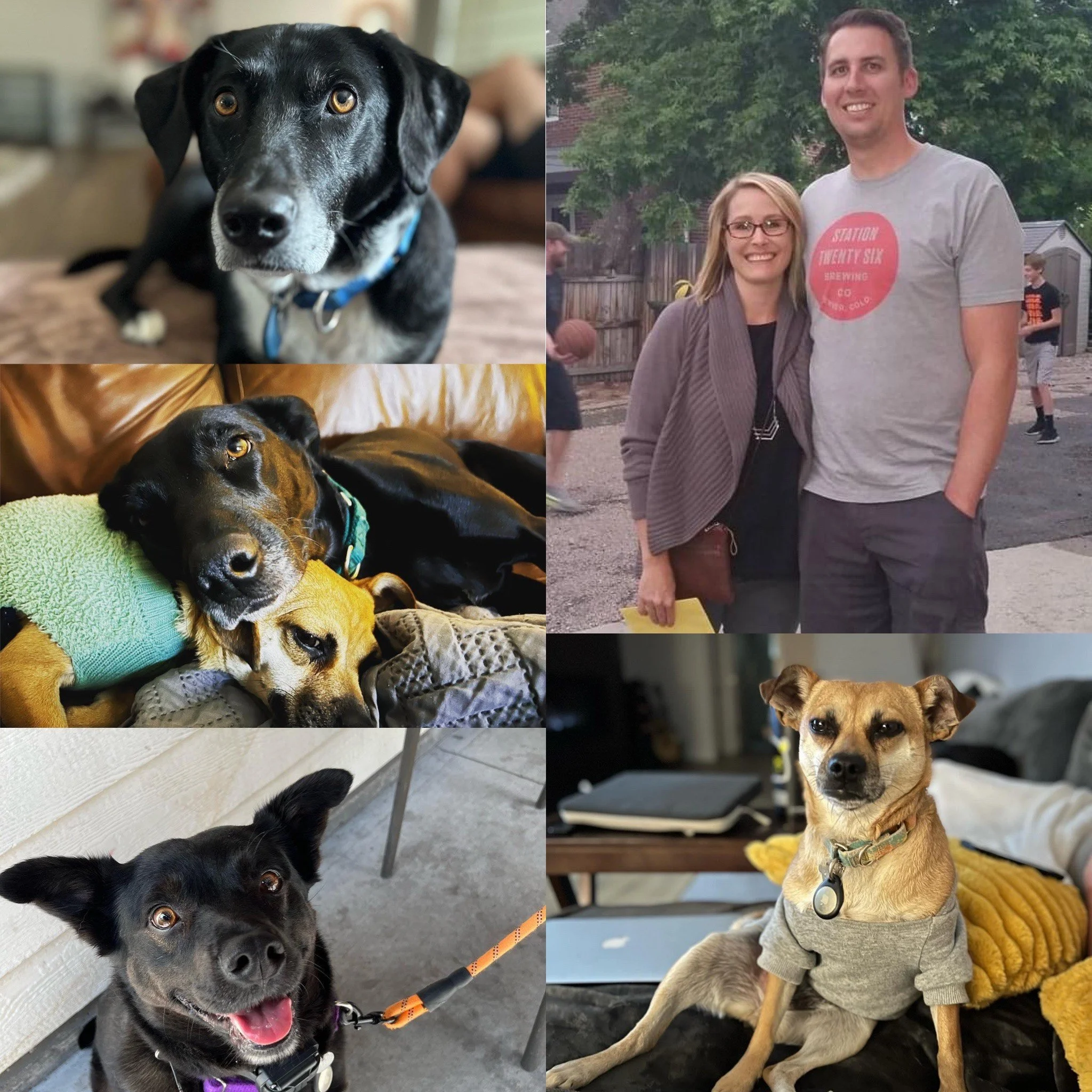 The Foreman's First 100!