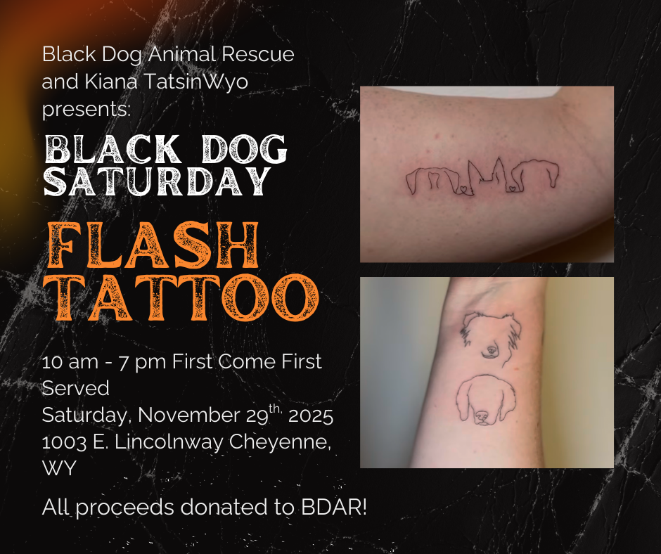 Black Dog Saturday