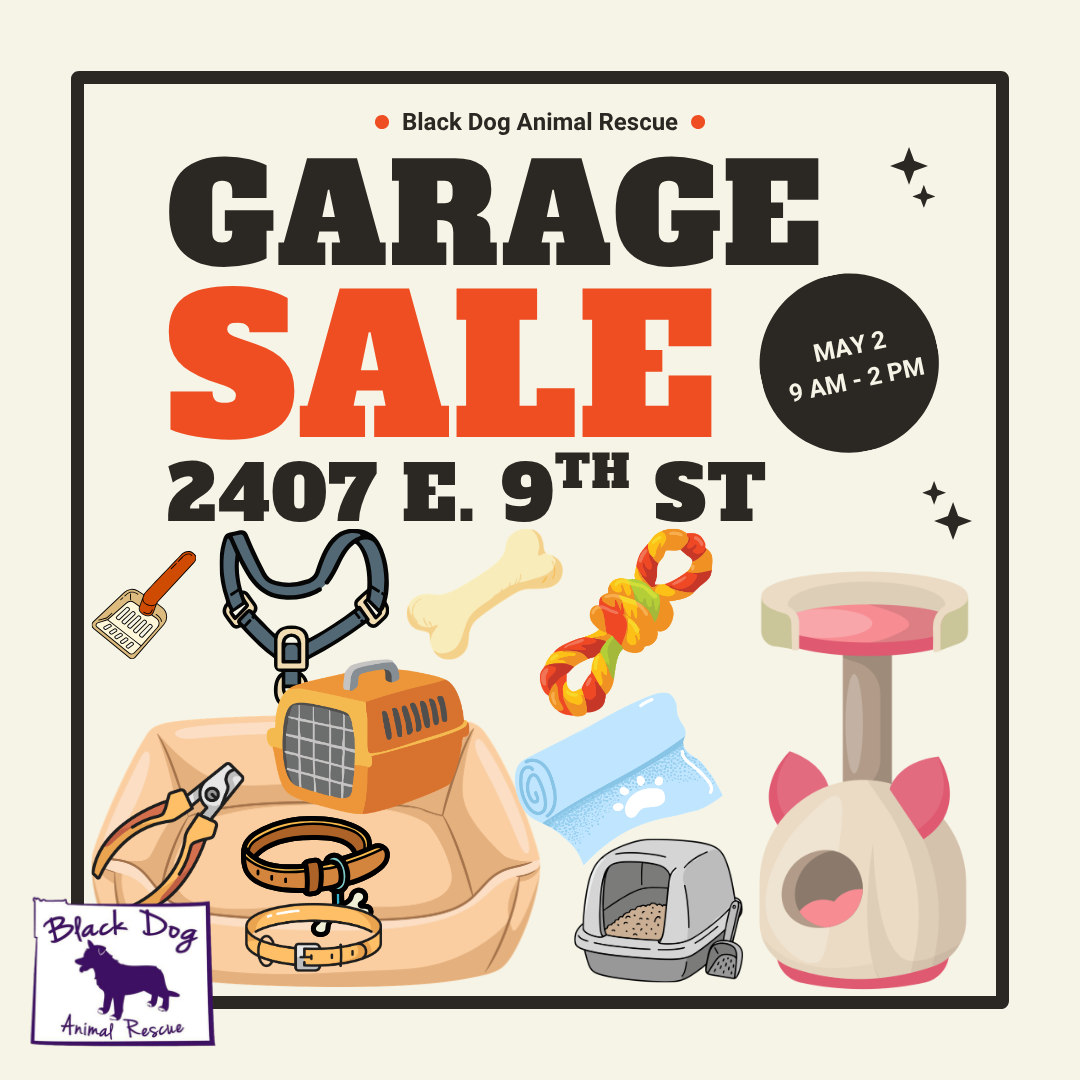 Garage Sale at BDAR — Black Dog Animal Rescue