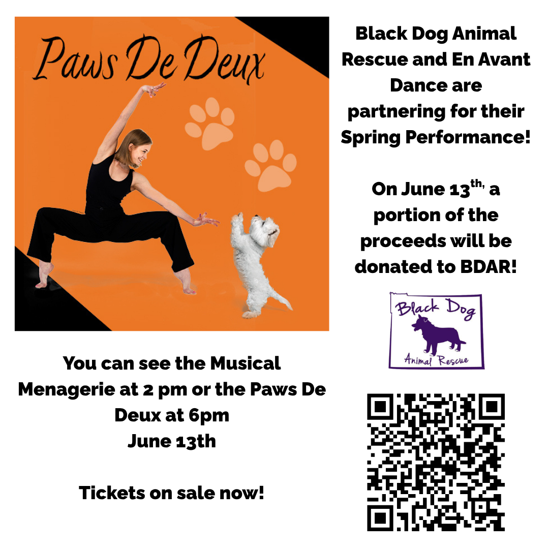 En Avant Spring Performance benefiting BDAR