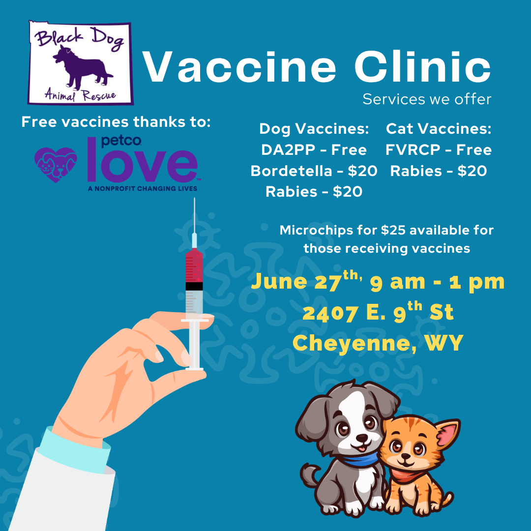 Vaccine Clinic
