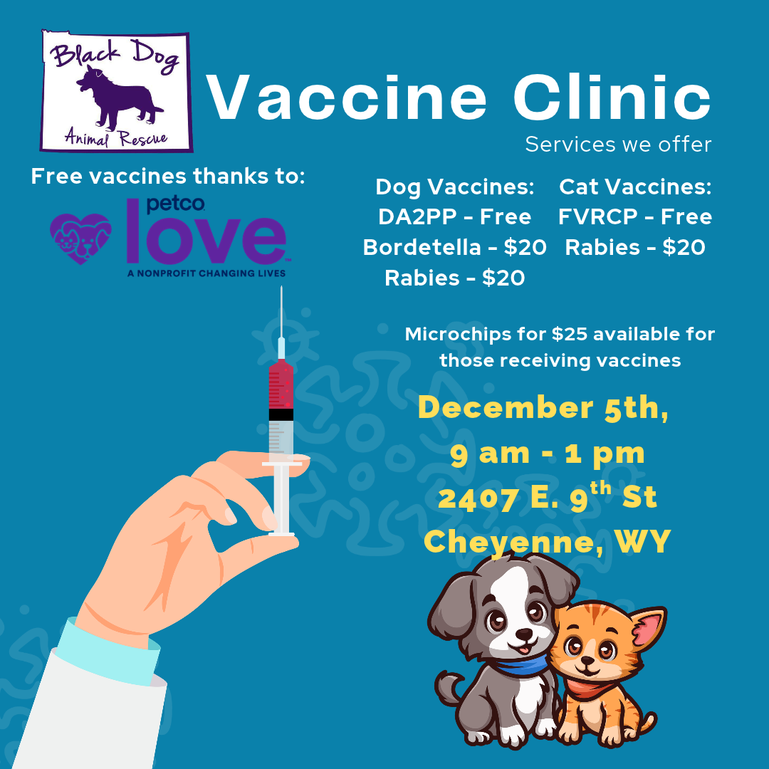 Vaccine Clinic 