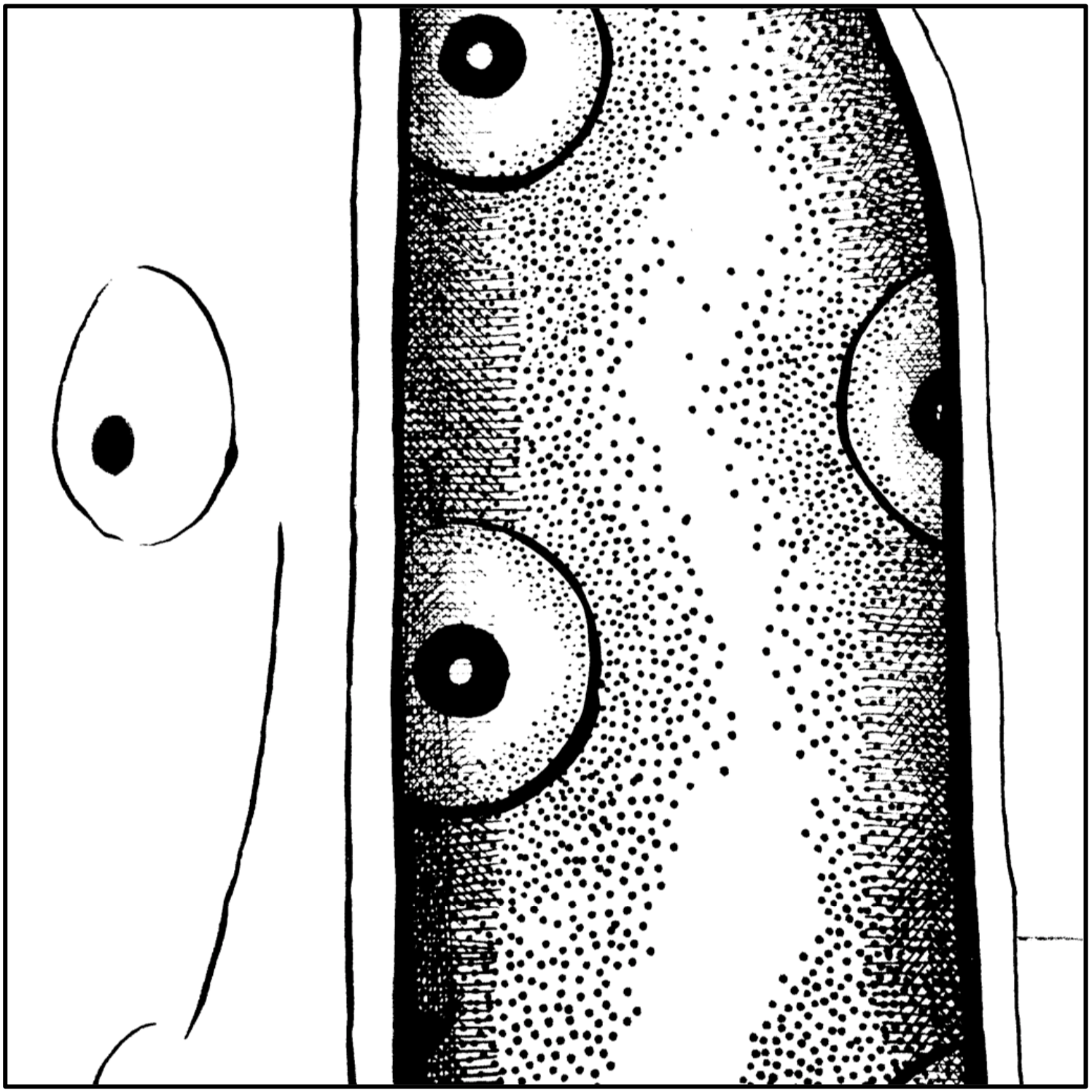 Screen Shot 2019-04-19 at 4.36.29 PM.png