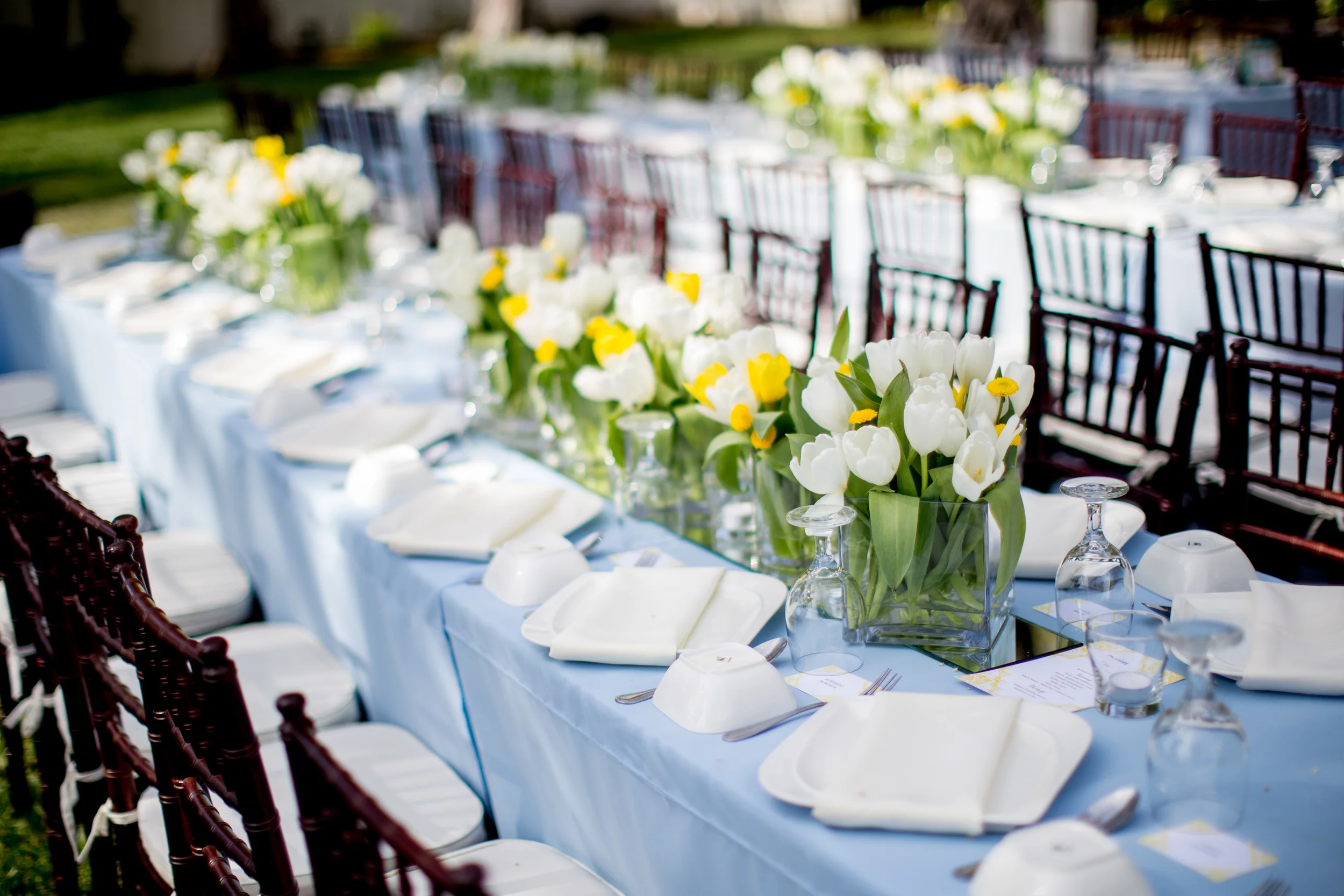 BR Cohn Winery Wedding | Anais Events | Jasmine Wang Photography