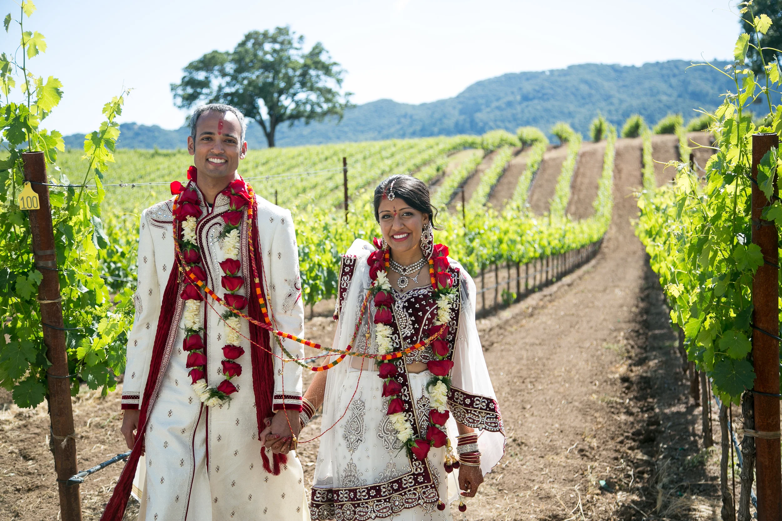 BR Cohn Winery Wedding | Anais Events | Tim Halberg Photography | San Francisco Cultural Wedding Planning and Design