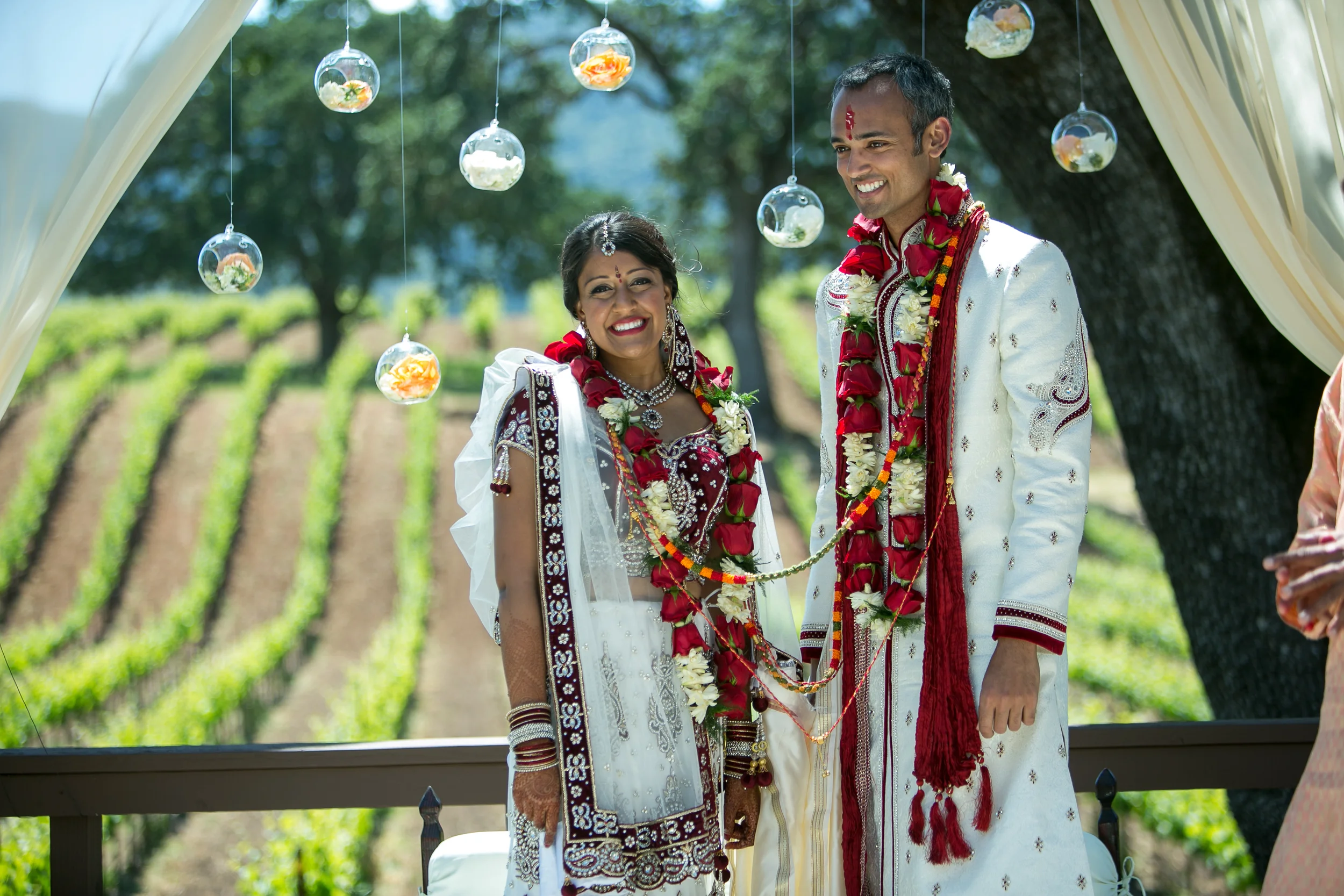 BR Cohn Winery Wedding | Anais Events | Tim Halberg Photography | San Francisco Cultural Wedding Planning and Design