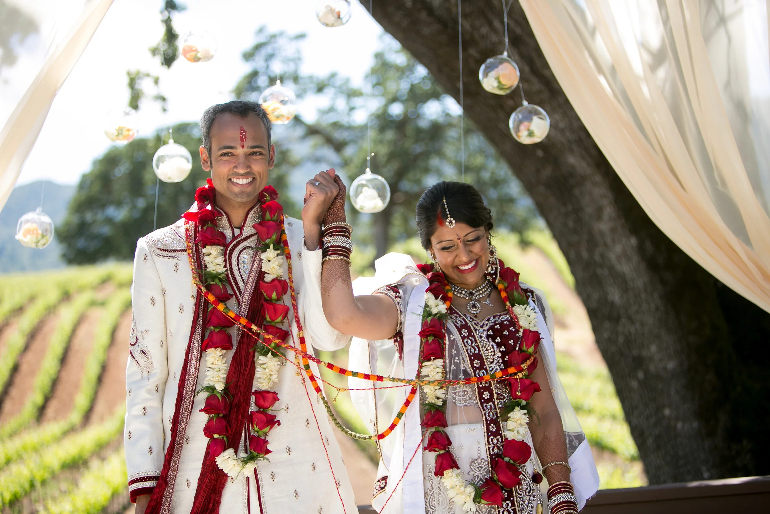 BR Cohn Winery Wedding | Anais Events | Tim Halberg Photography | San Francisco Cultural Wedding Planning and Design