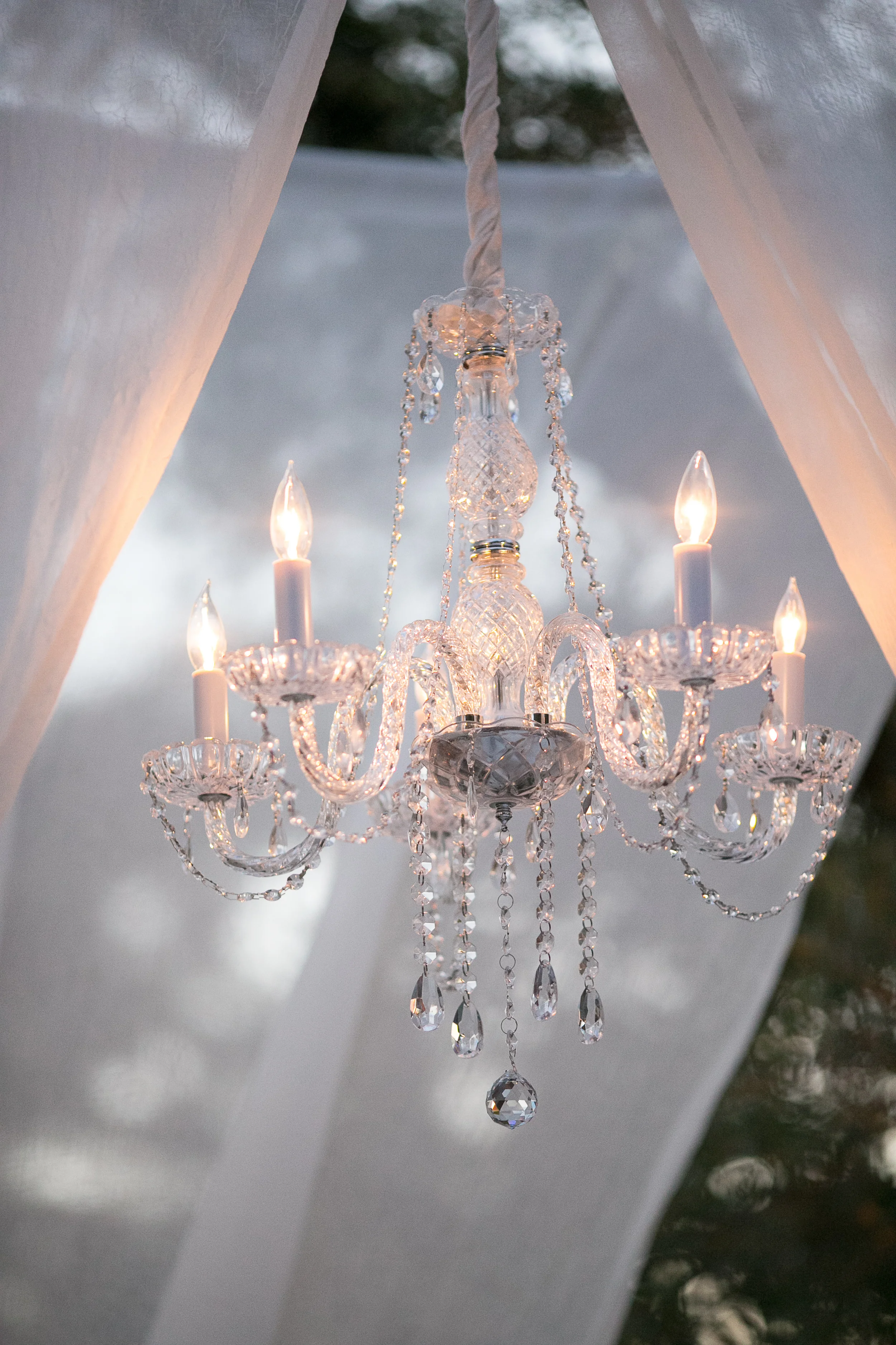BR Cohn Winery Wedding | Anais Events | Tim Halberg Photography | San Francisco Cultural Wedding Planning and Design