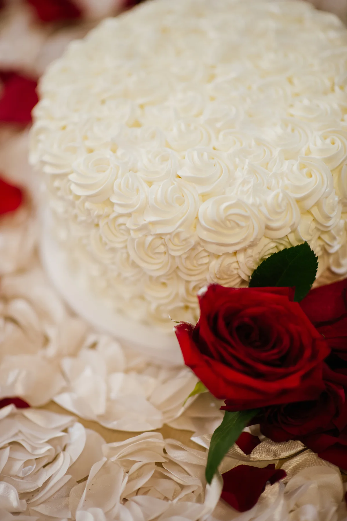 141031CATH_MEGHA_SEBA_MHP_00105.jpg