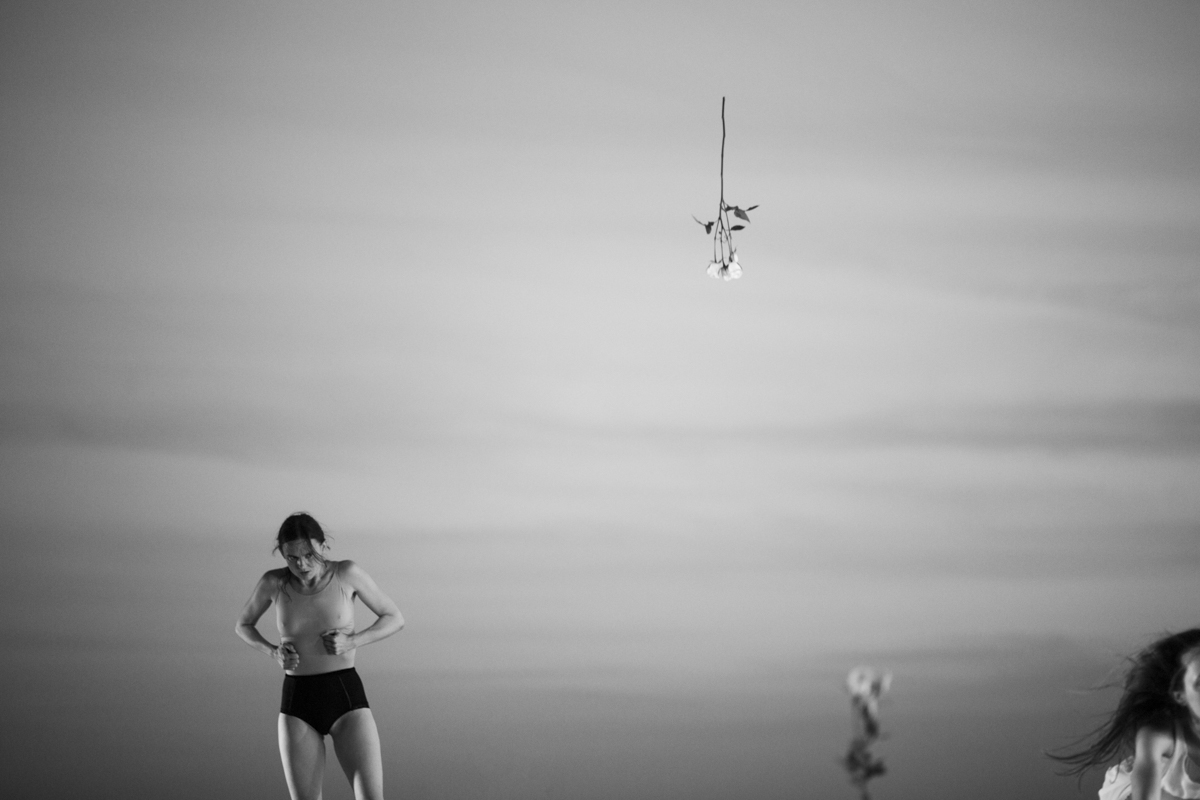 From Battery Dance Festival - NYC.