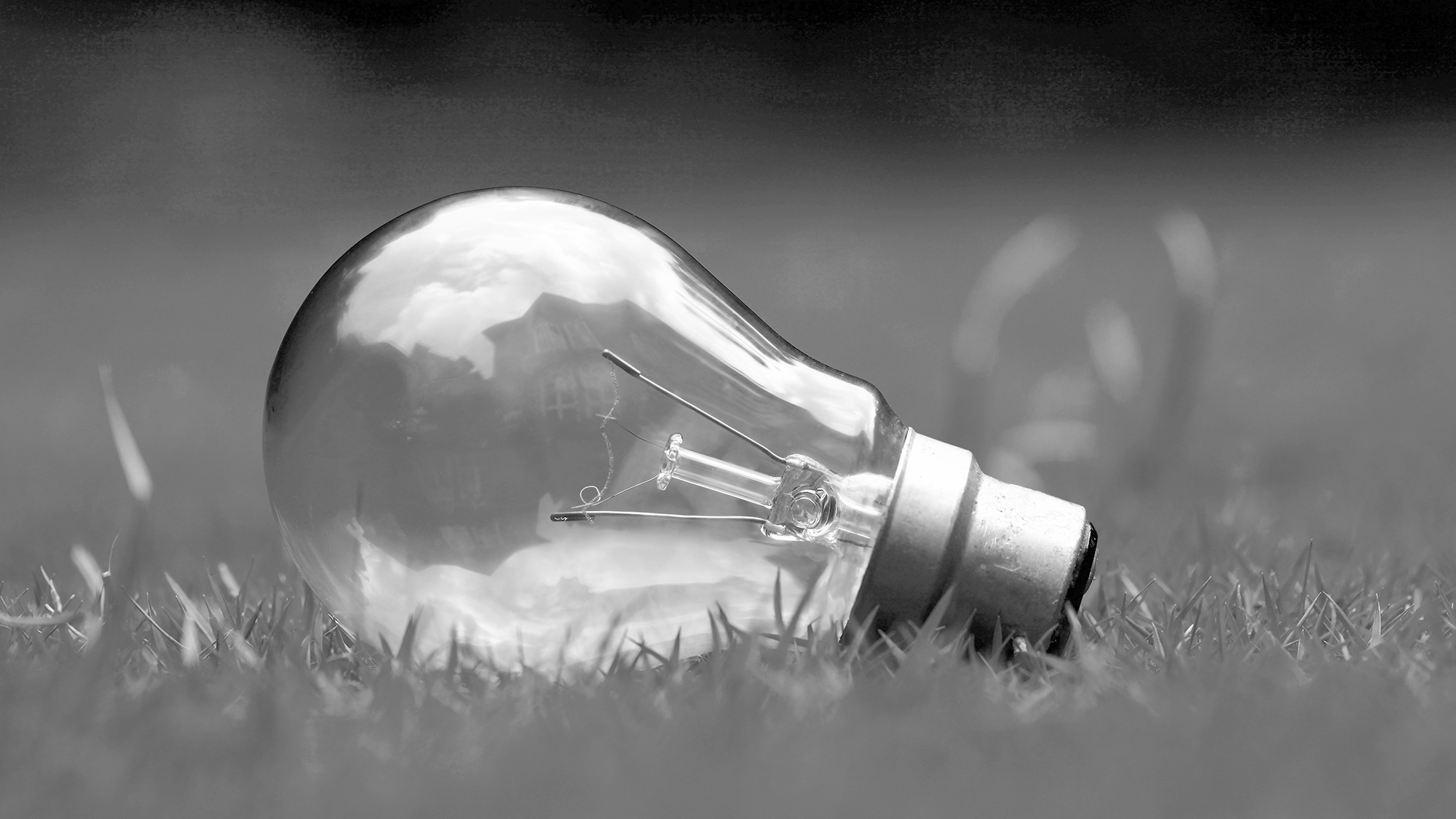 lightbulb-grass_bw.jpg