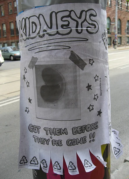 recycle-06-large.jpg