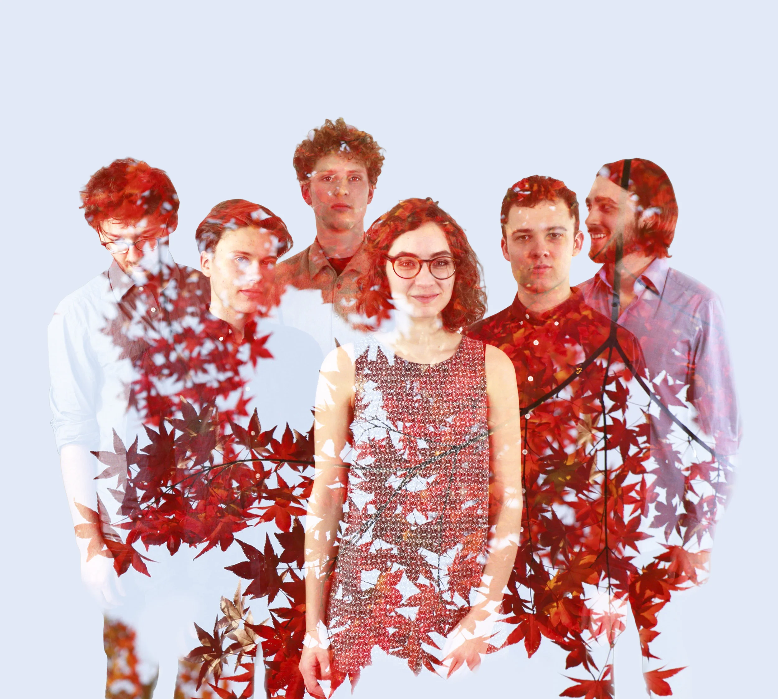 Preview: Linntett - Nature 