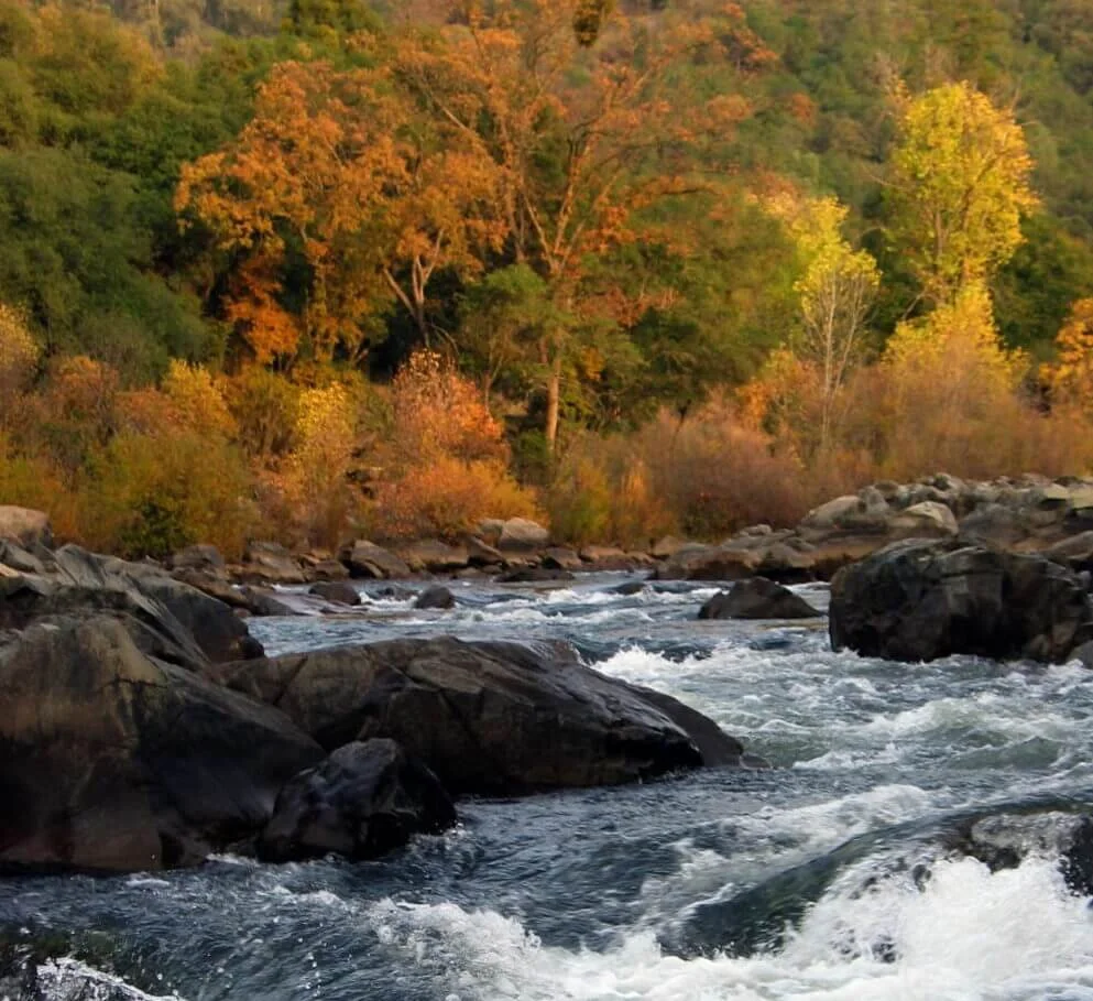 american river in fall.jpg