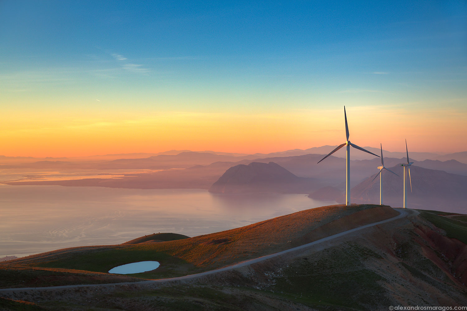 Windblown Sunset