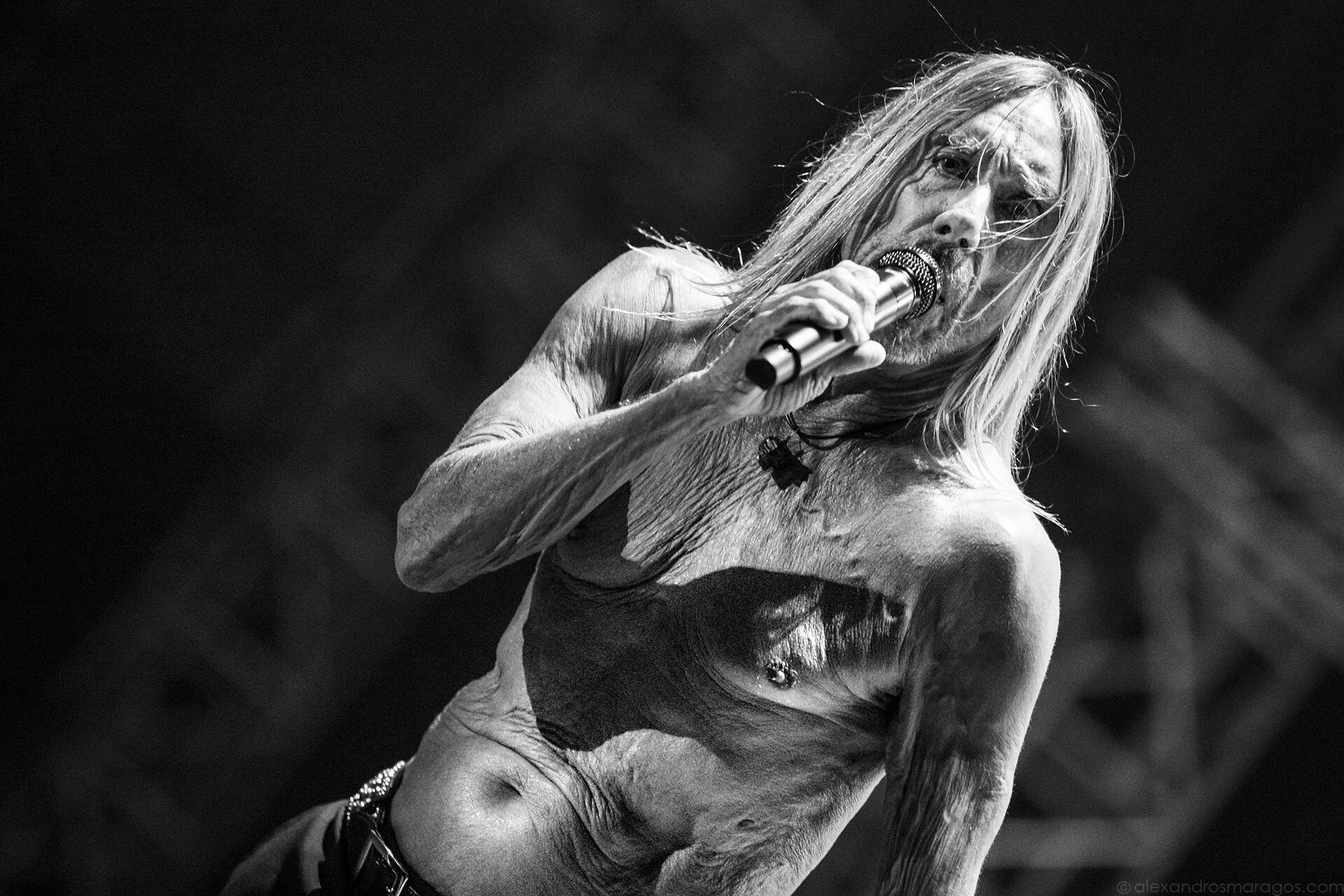 Iggy Pop