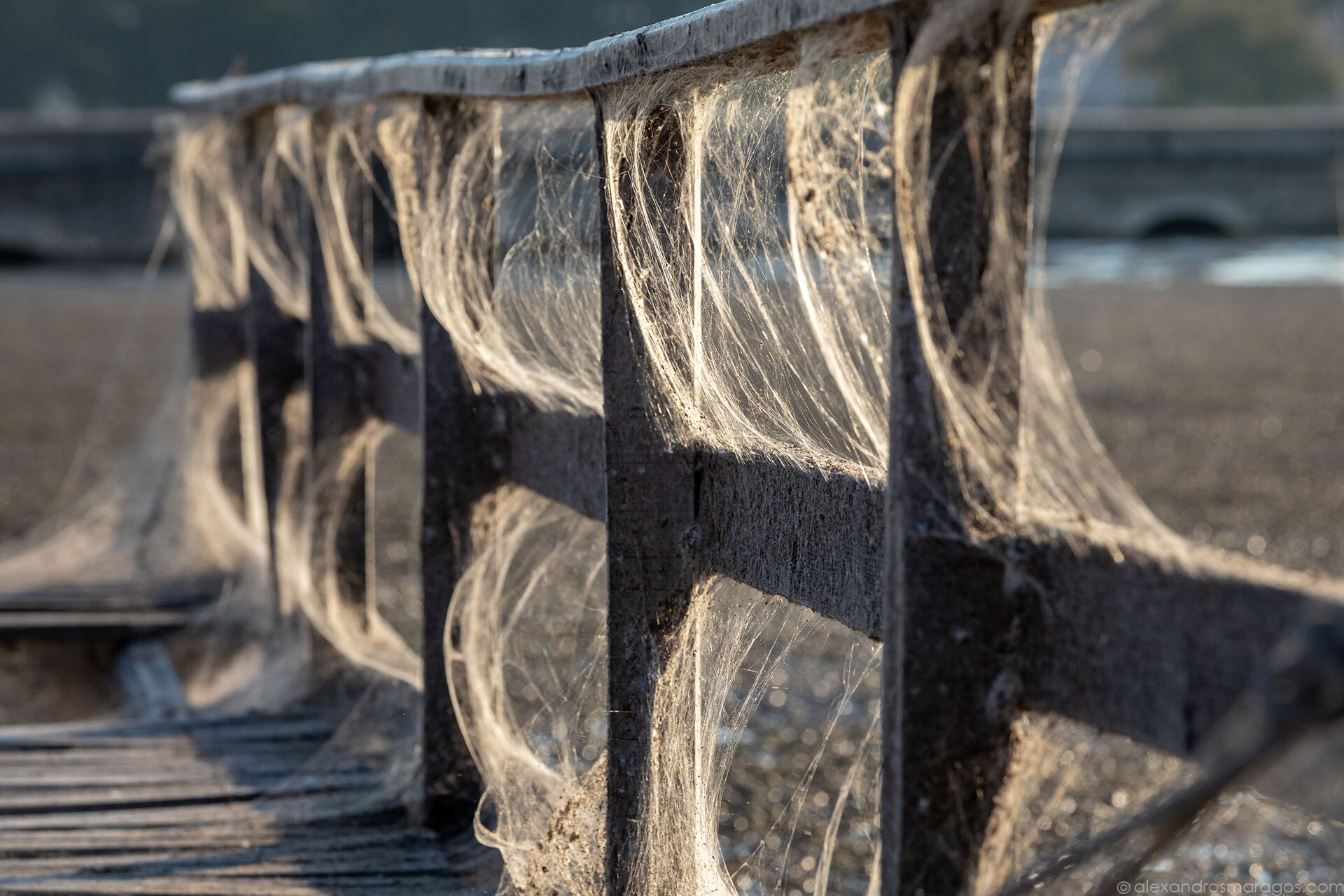 The Aitoliko Spiderweb, Greece