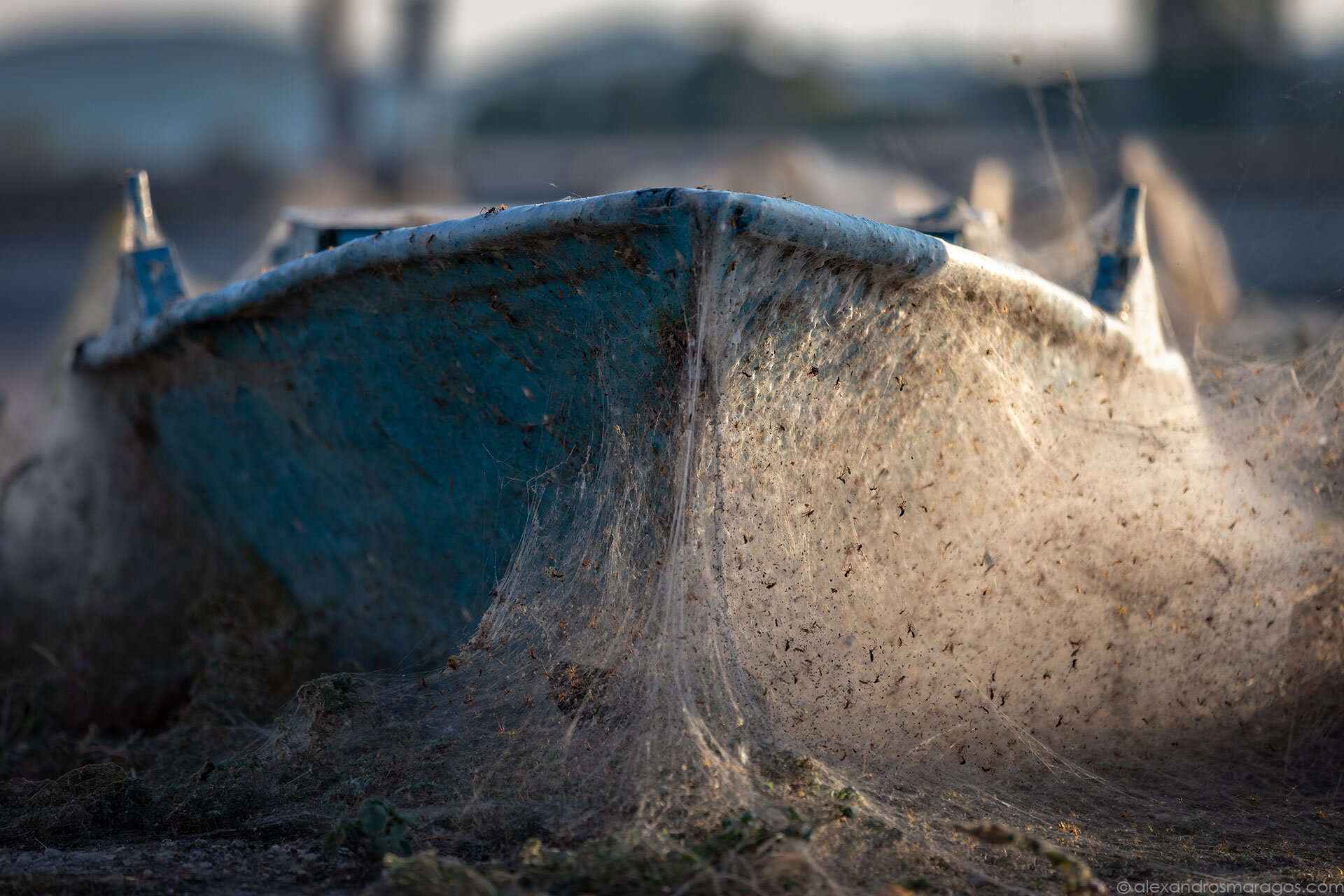 The Aitoliko Spiderweb, Greece