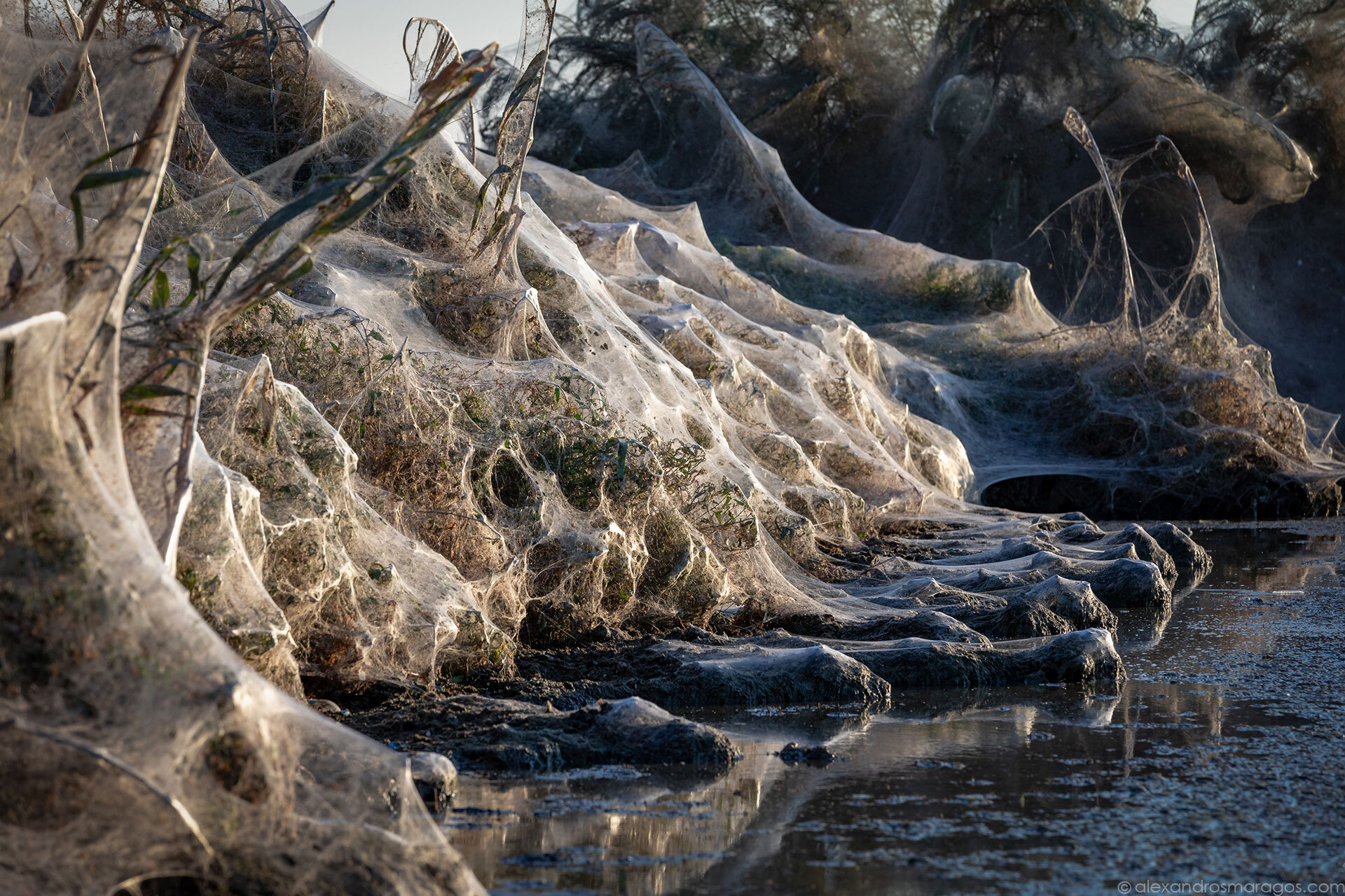 The Aitoliko Spiderweb, Greece